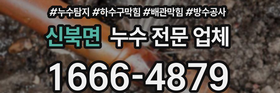 신북면 누수 전문 업체