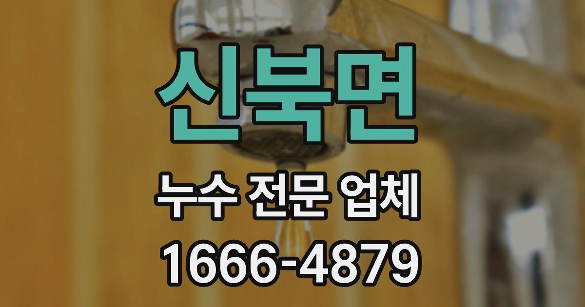 신북면 누수 전문 업체