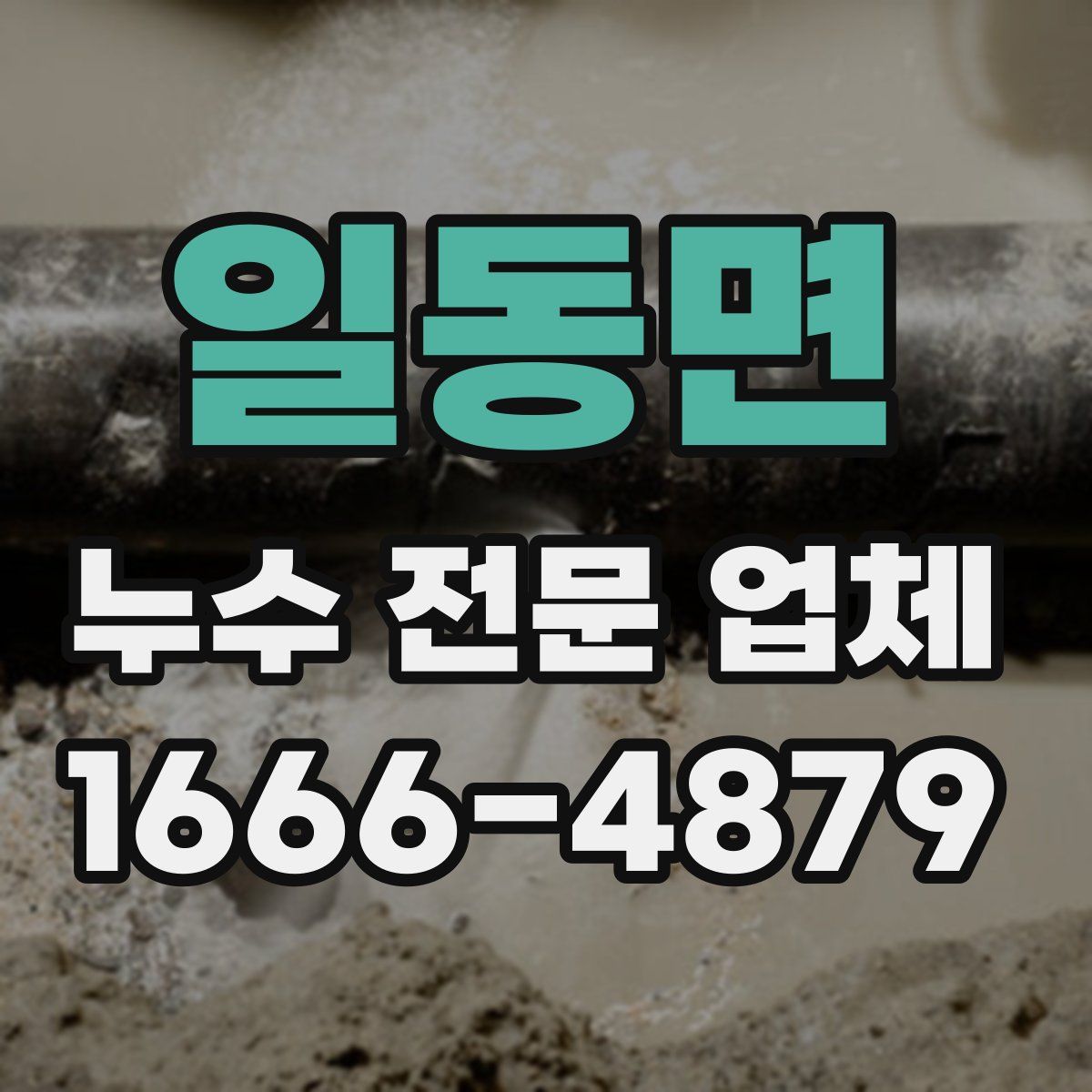 일동면 누수 전문 업체