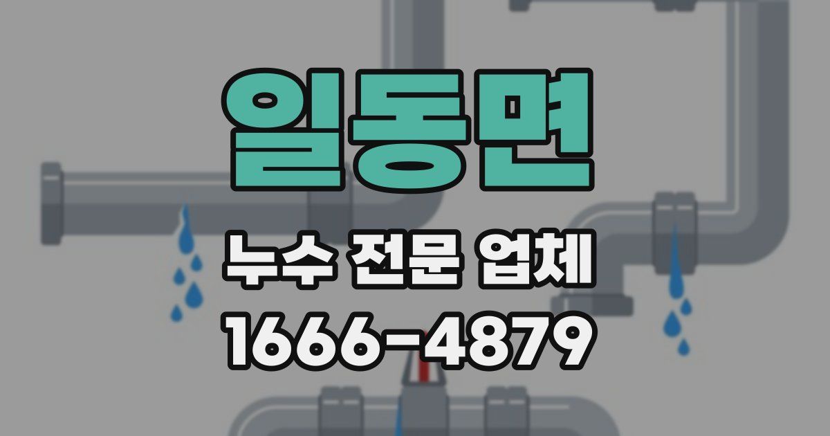 일동면 누수 전문 업체