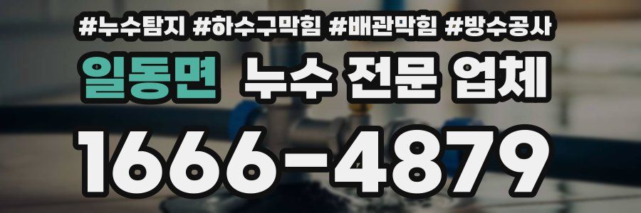 일동면 누수 전문 업체