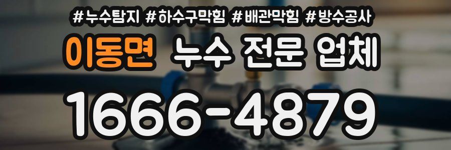이동면 누수 전문 업체
