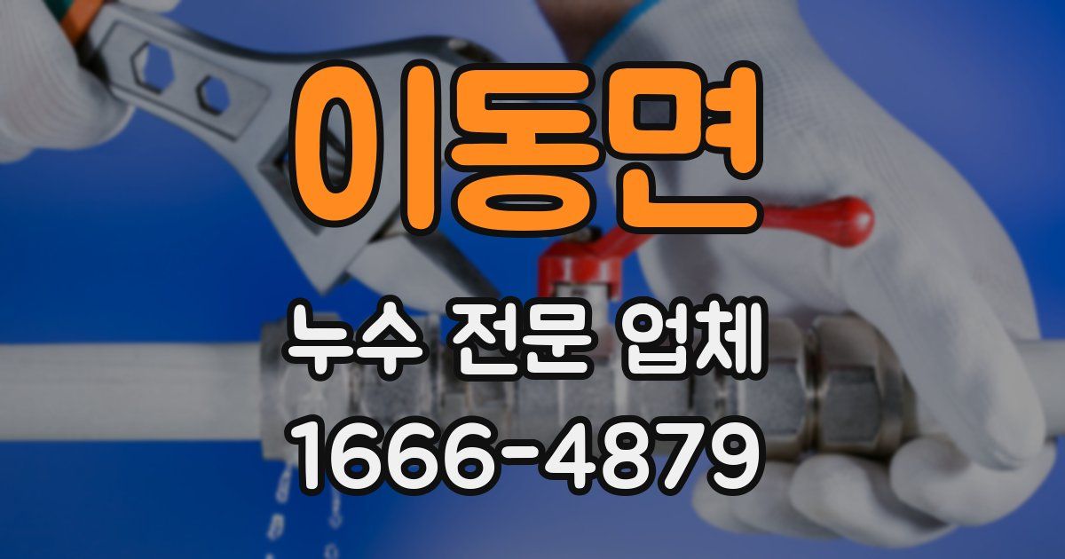 이동면 누수 전문 업체