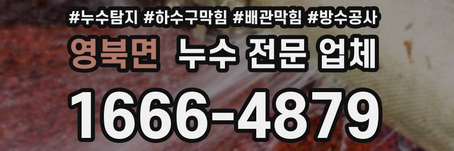 영북면 누수 전문 업체