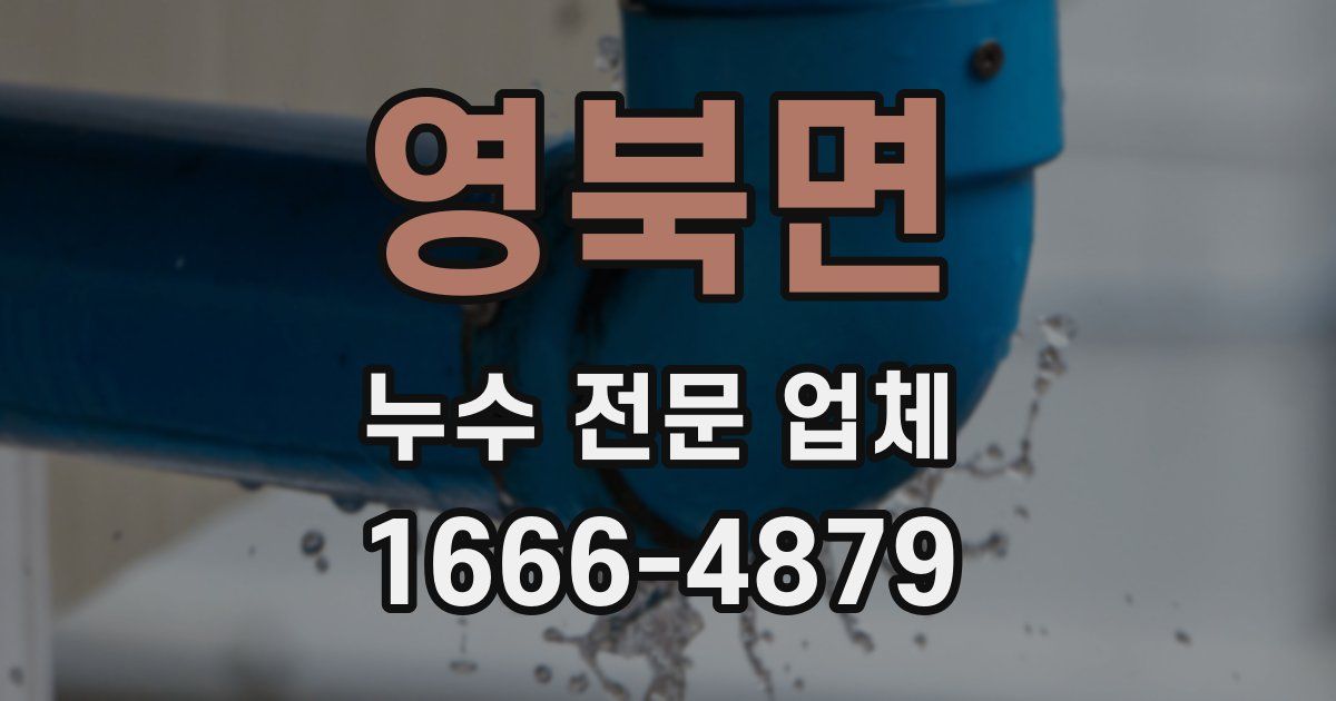 영북면 누수 전문 업체