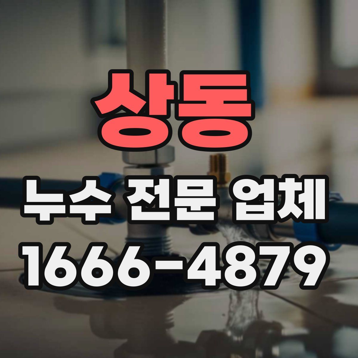 상동 누수 전문 업체
