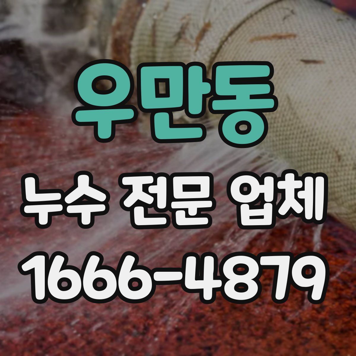 우만동 누수 전문 업체