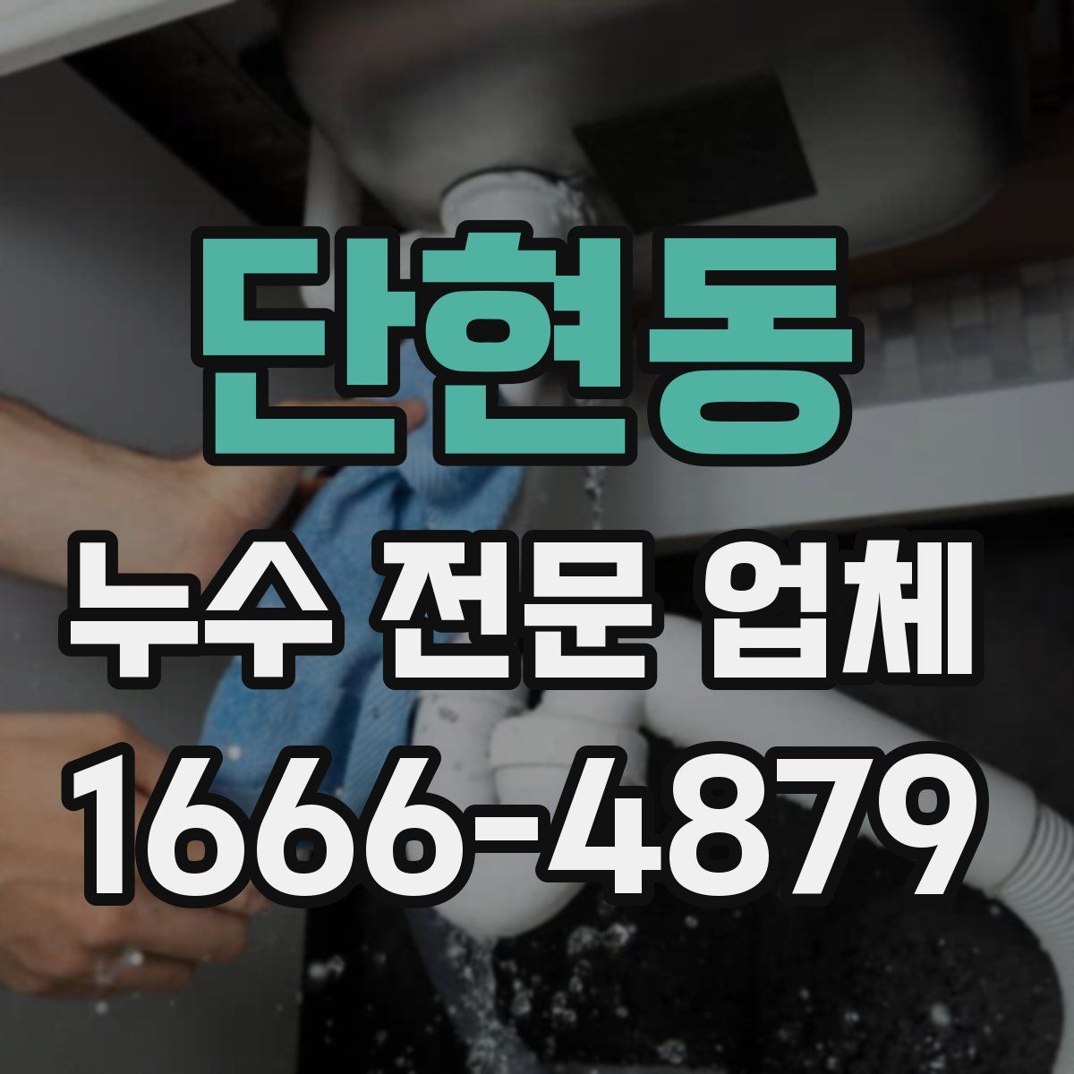 단현동 누수 전문 업체