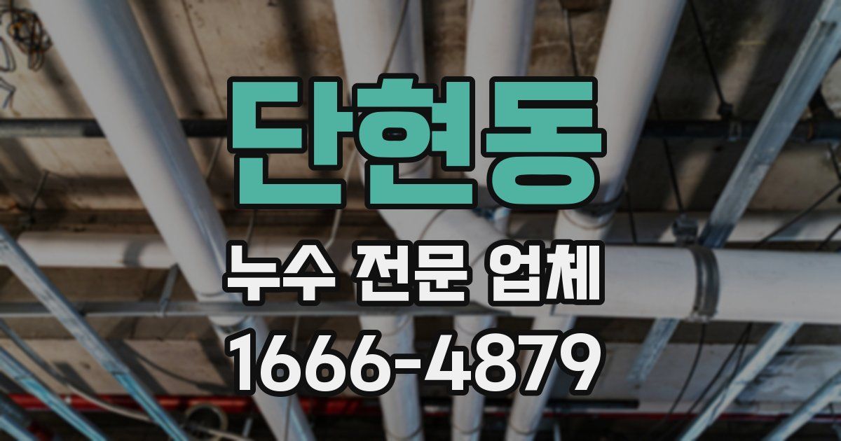 단현동 누수 전문 업체