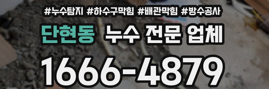 단현동 누수 전문 업체