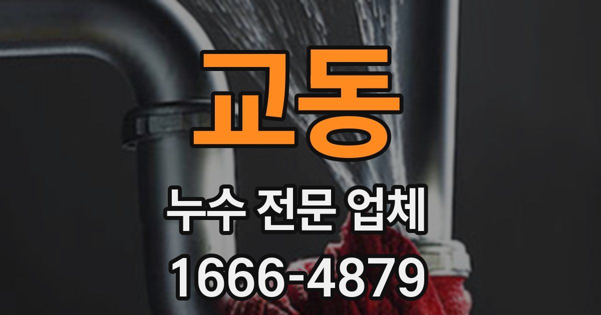 교동 누수 전문 업체
