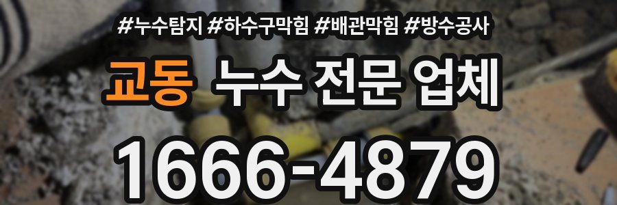 교동 누수 전문 업체