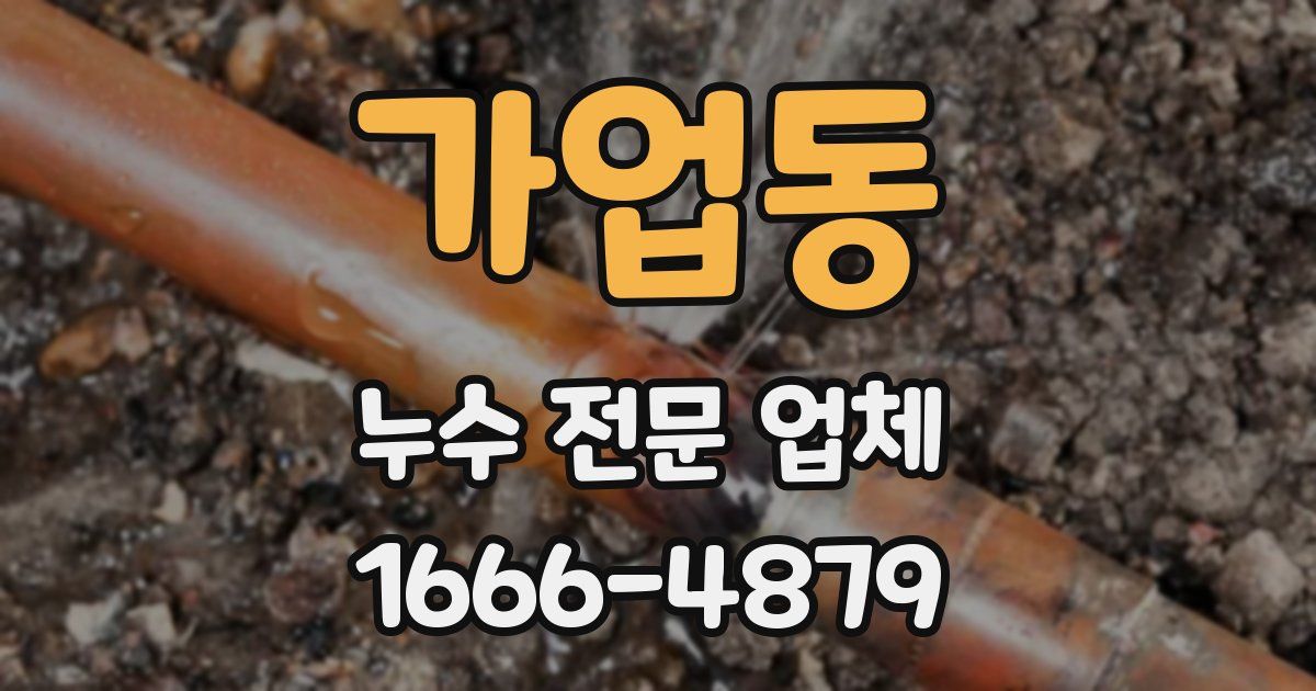 가업동 누수 전문 업체