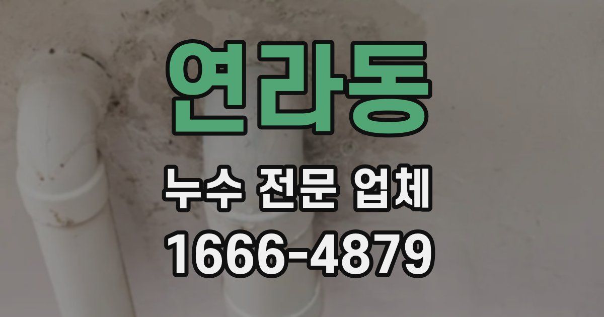 연라동 누수 전문 업체