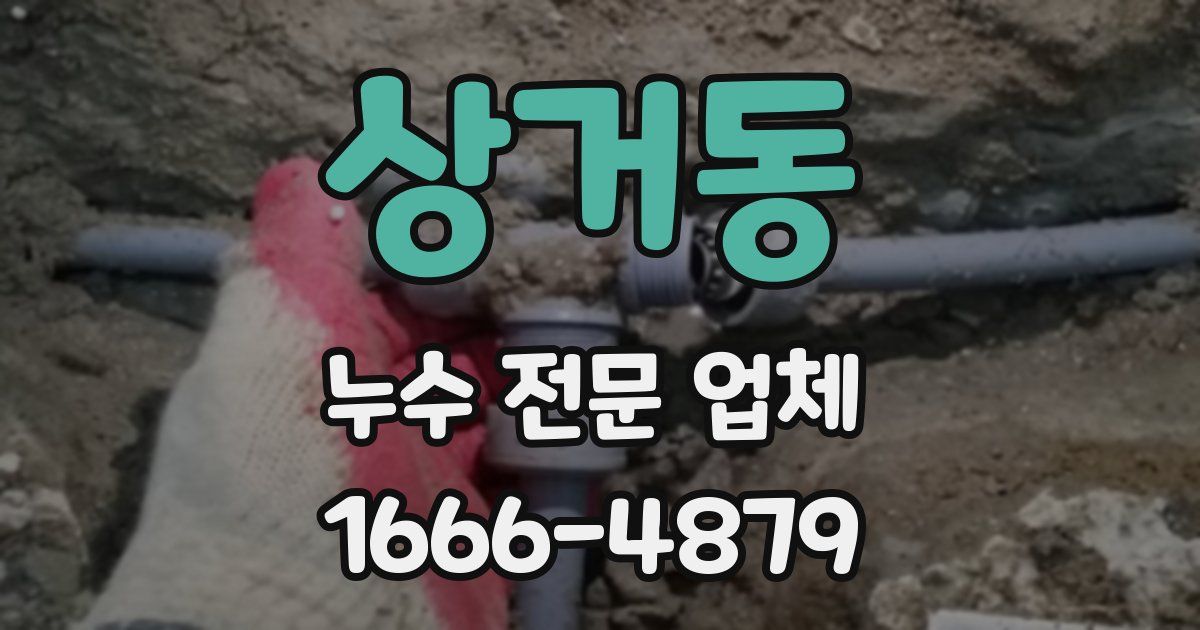 상거동 누수 전문 업체
