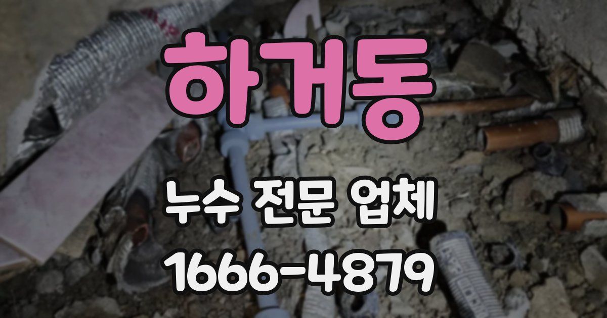 하거동 누수 전문 업체