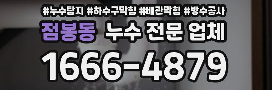 점봉동 누수 전문 업체