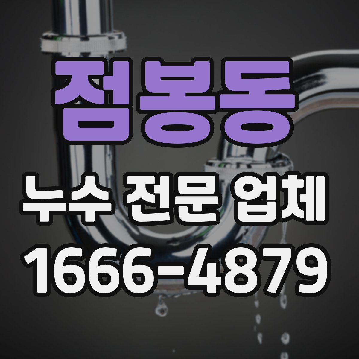 점봉동 누수 전문 업체