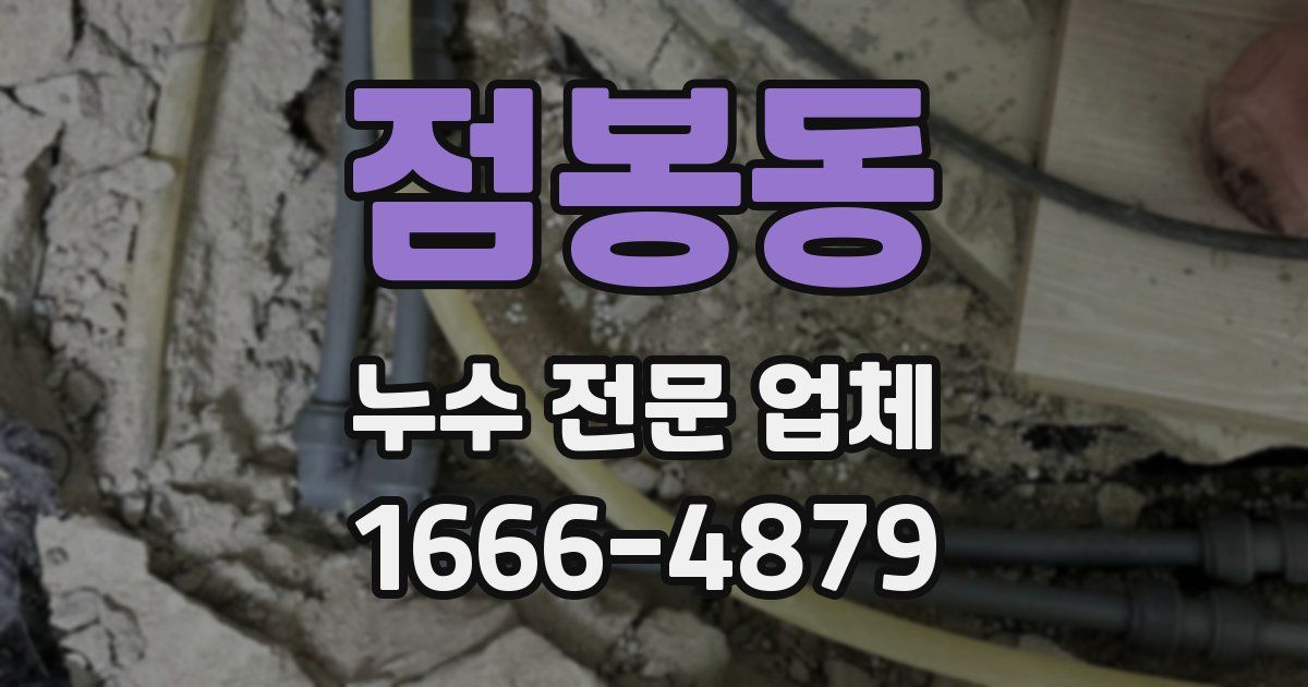 점봉동 누수 전문 업체