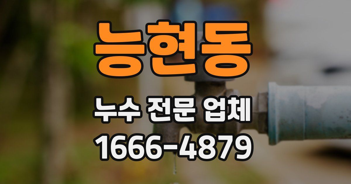 능현동 누수 전문 업체