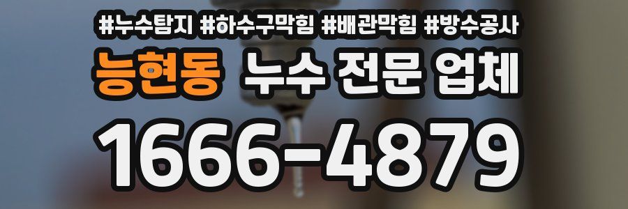 능현동 누수 전문 업체