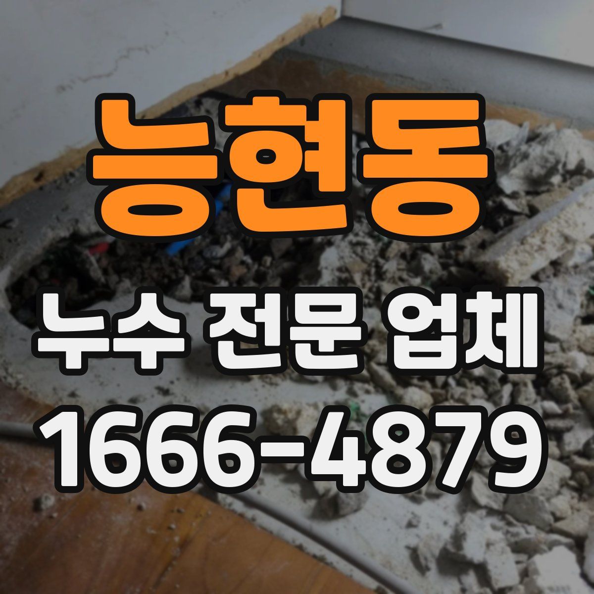 능현동 누수 전문 업체
