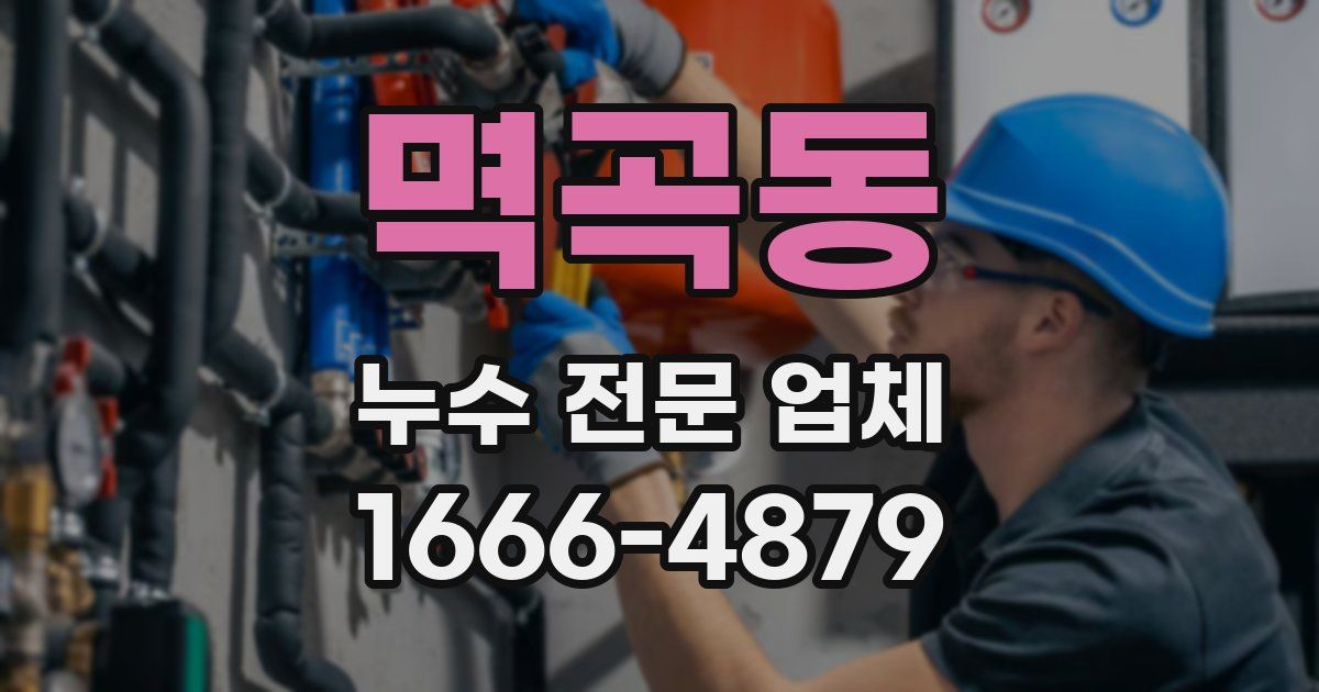 멱곡동 누수 전문 업체