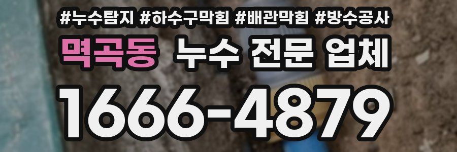 멱곡동 누수 전문 업체