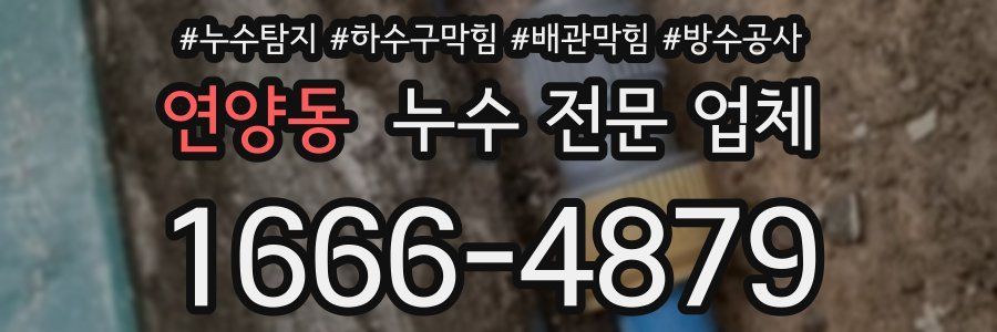 연양동 누수 전문 업체