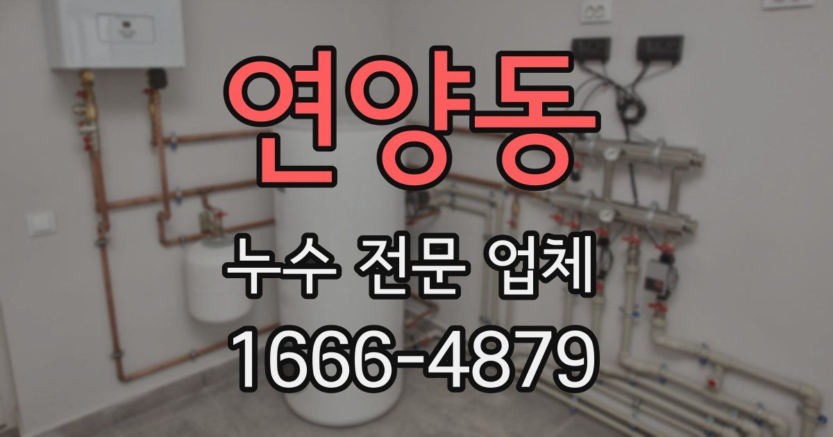 연양동 누수 전문 업체