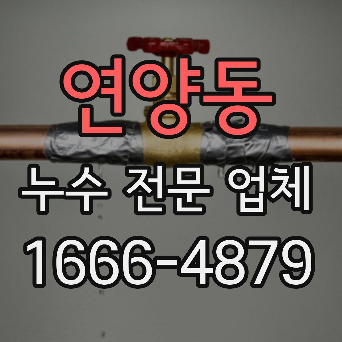 연양동 누수 전문 업체