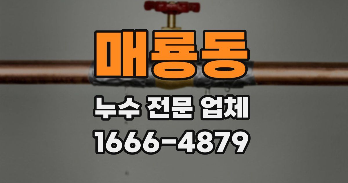 매룡동 누수 전문 업체