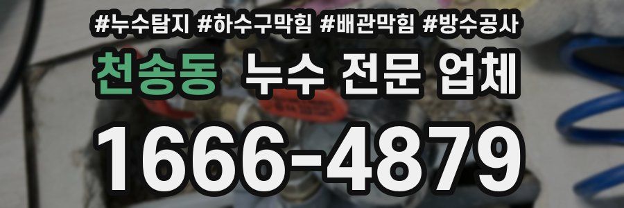 천송동 누수 전문 업체