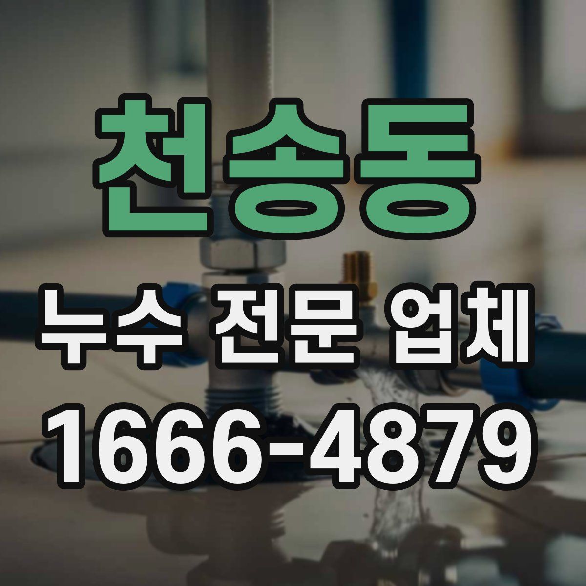 천송동 누수 전문 업체
