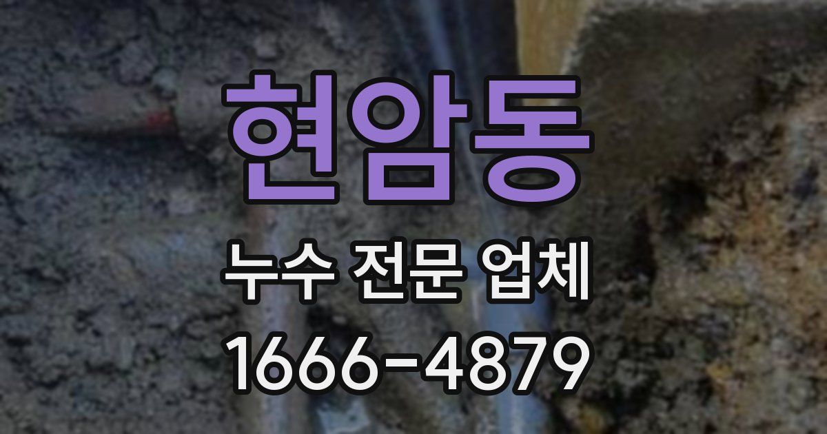 현암동 누수 전문 업체