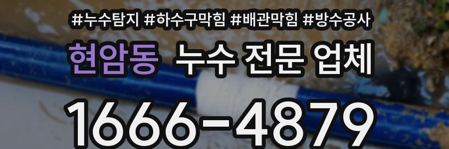 현암동 누수 전문 업체