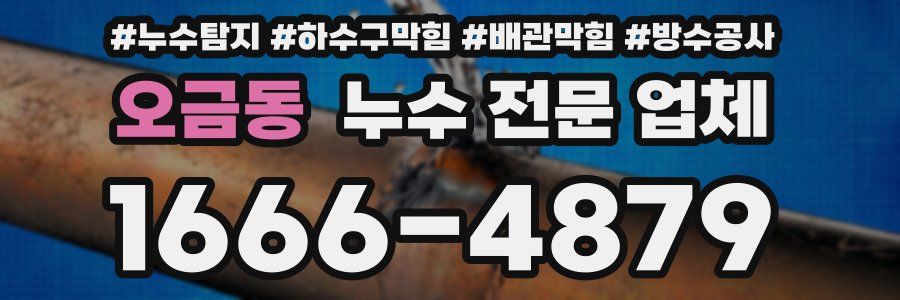 오금동 누수 전문 업체