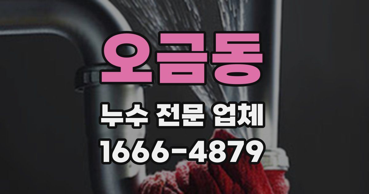 오금동 누수 전문 업체