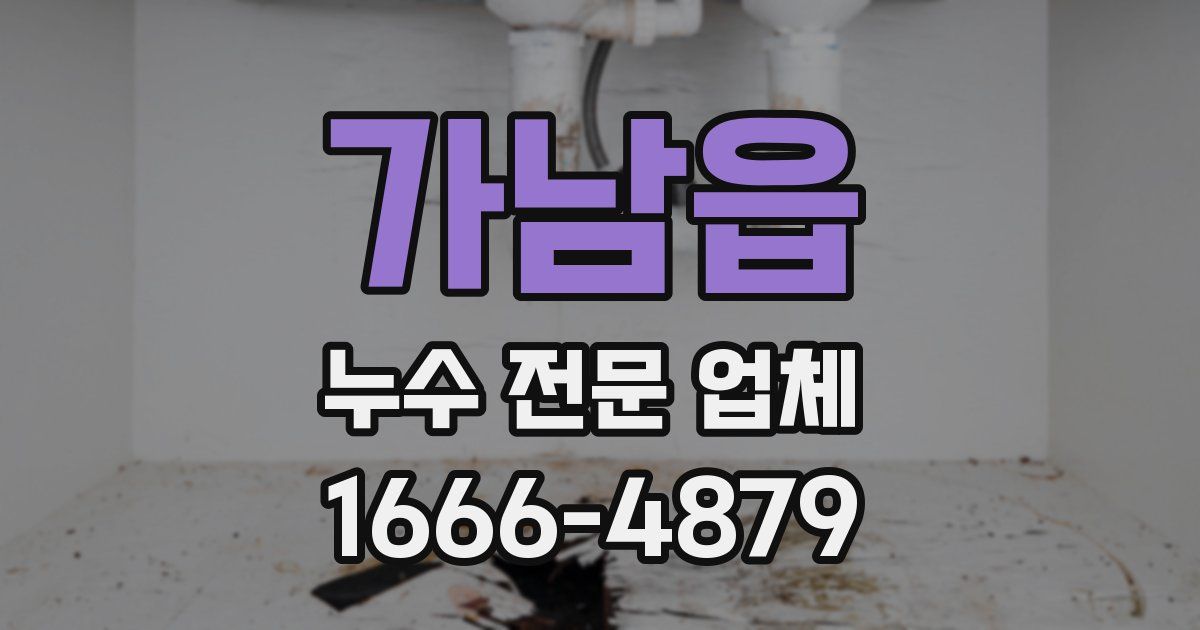 가남읍 누수 전문 업체