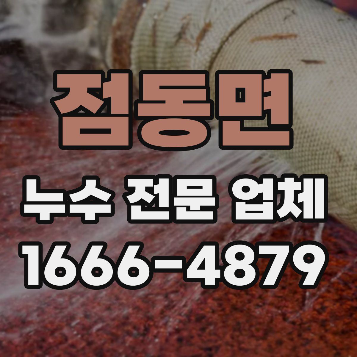 점동면 누수 전문 업체
