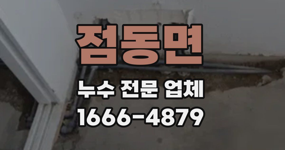 점동면 누수 전문 업체