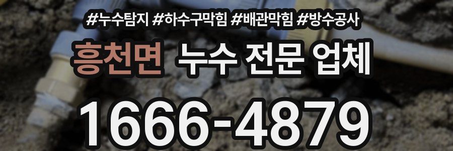 흥천면 누수 전문 업체