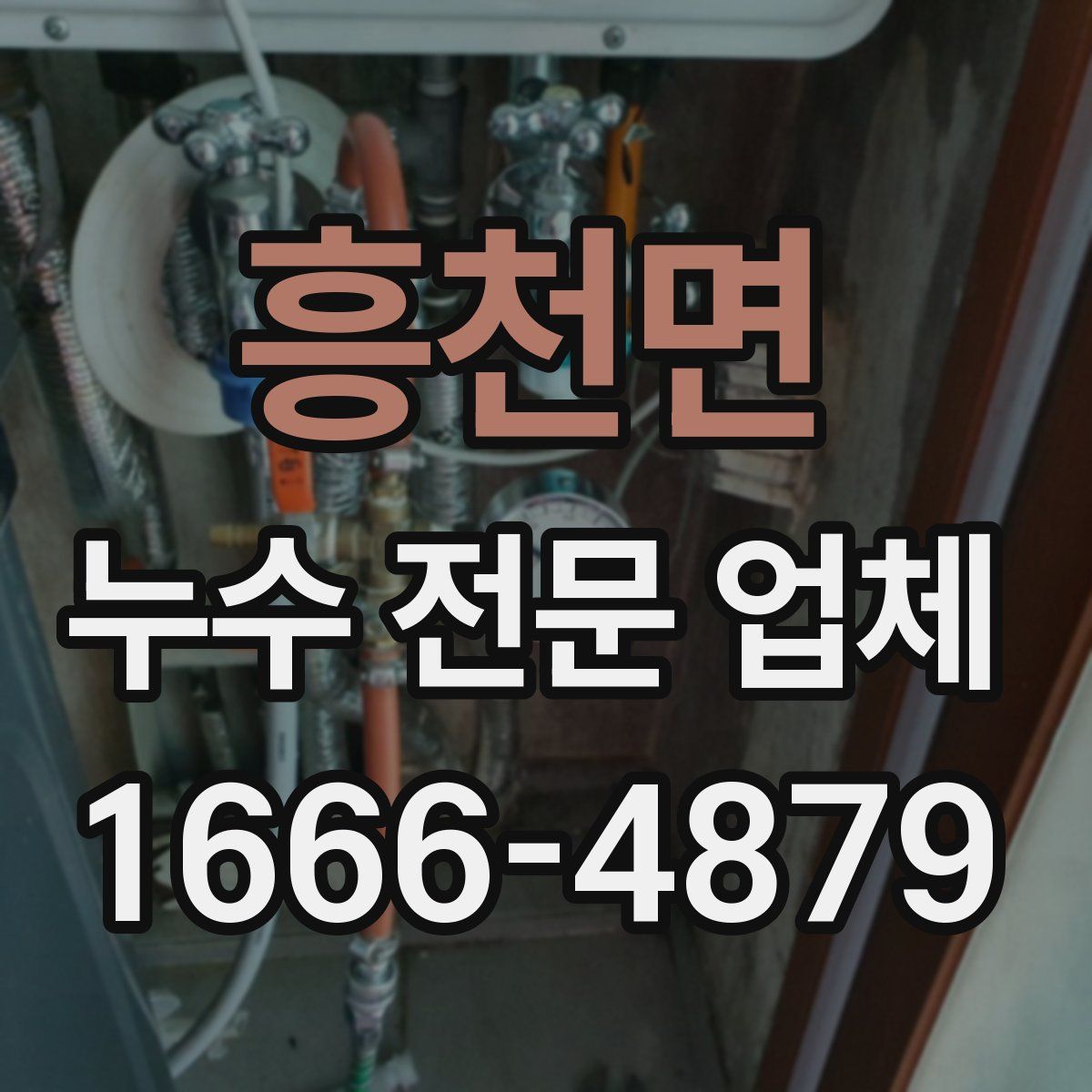 흥천면 누수 전문 업체