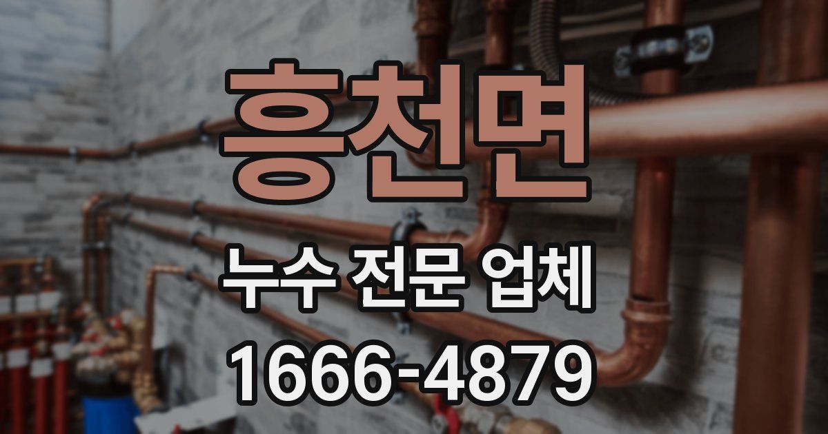 흥천면 누수 전문 업체