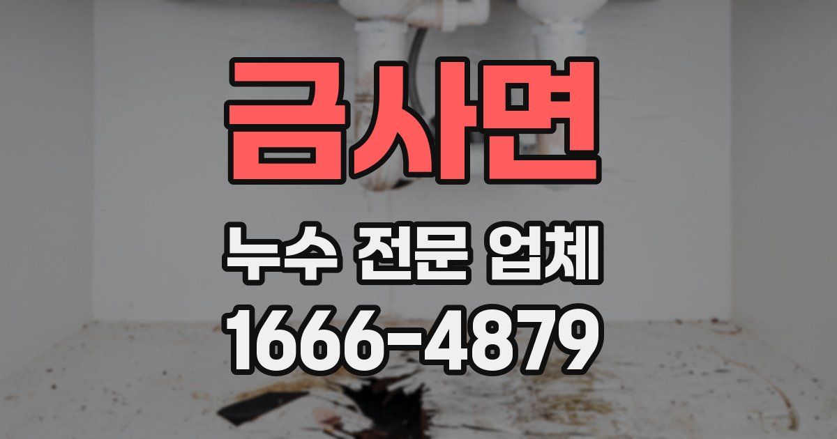 금사면 누수 전문 업체
