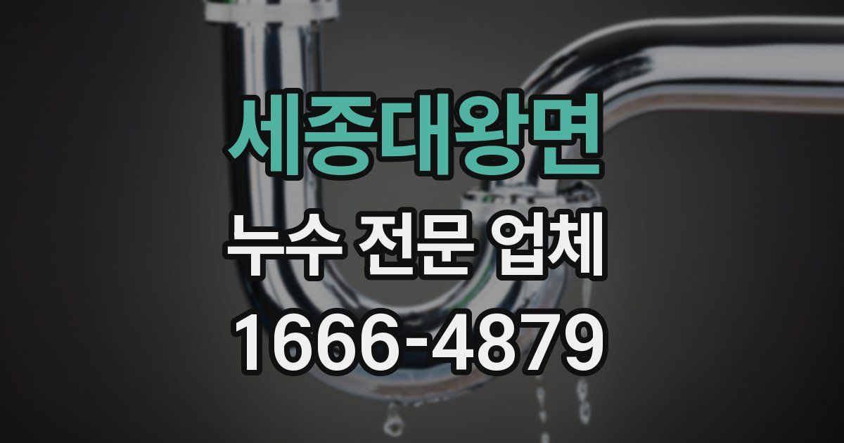 세종대왕면 누수 전문 업체