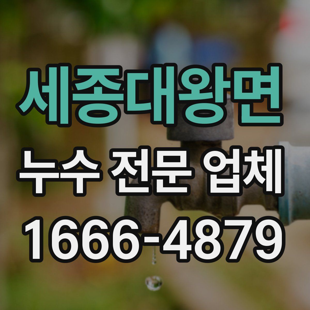 세종대왕면 누수 전문 업체