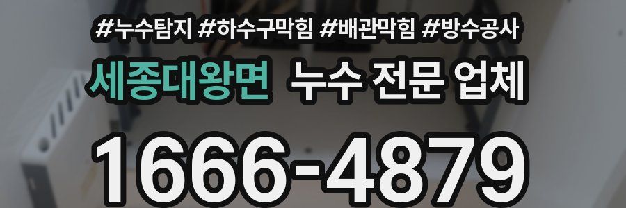 세종대왕면 누수 전문 업체