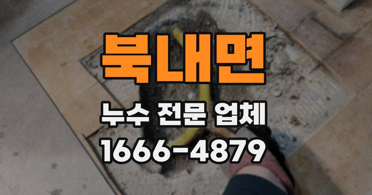 북내면 누수 전문 업체
