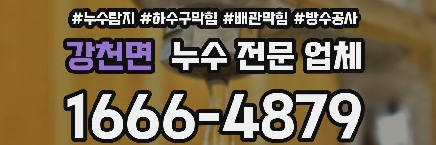 강천면 누수 전문 업체